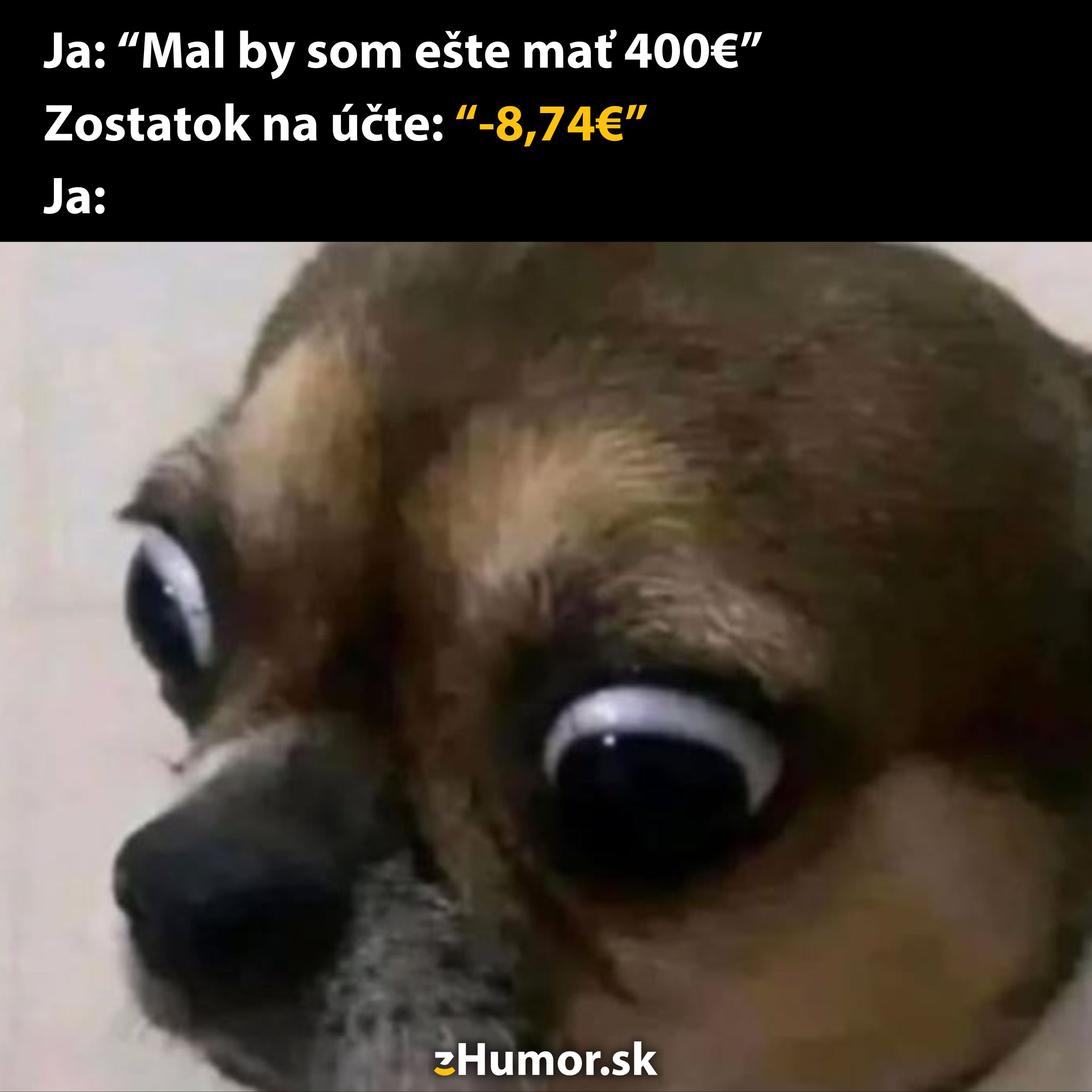 Pes s vyvalenými očami reaguje na zistenie, že na účte má záporný zostatok namiesto očakávaných 400€.