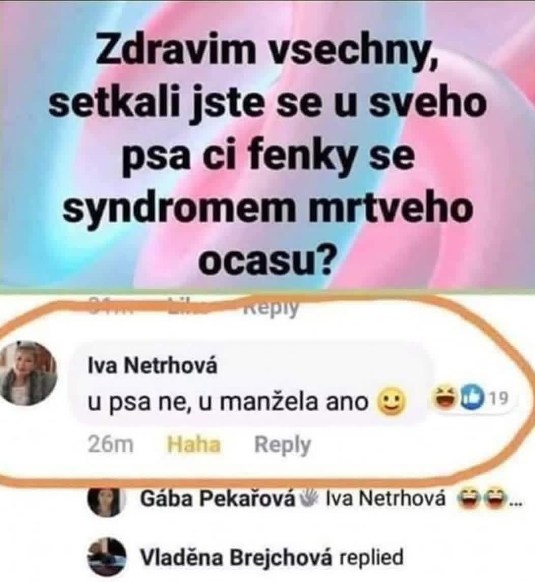 Diskusia na sociálnej sieti: otázka o syndróme mŕtveho chvosta psa a vtipná odpoveď o manželovi.