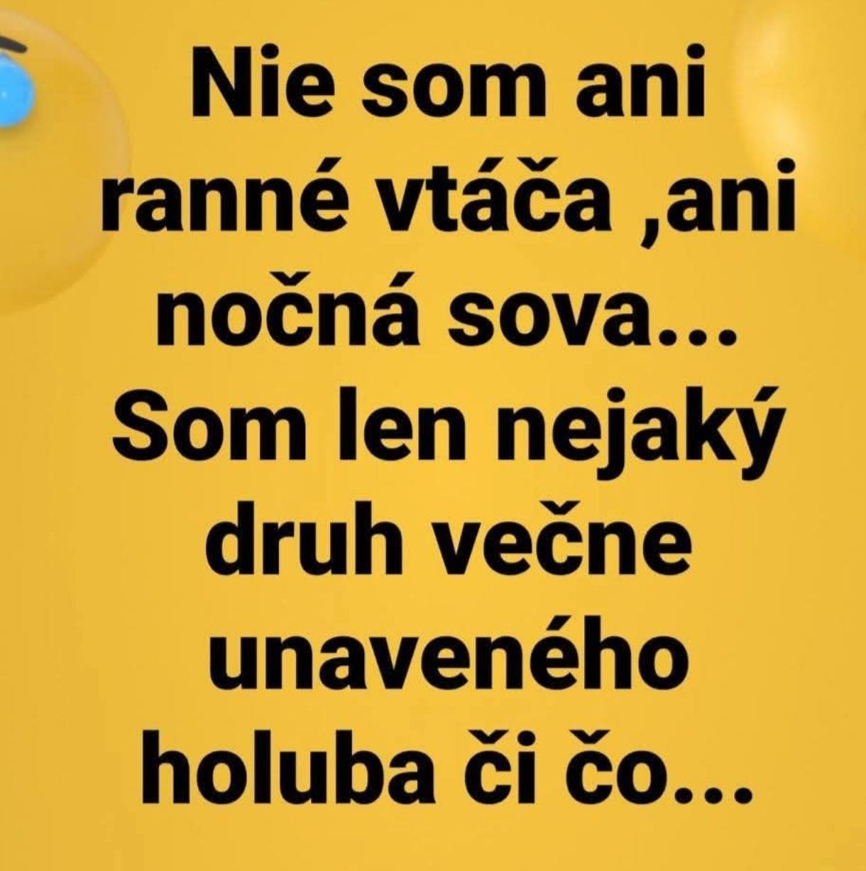 Nie som ranné vtáča ani nočná sova, skôr večne unavený holub. Zábavný citát s oranžovým pozadím.