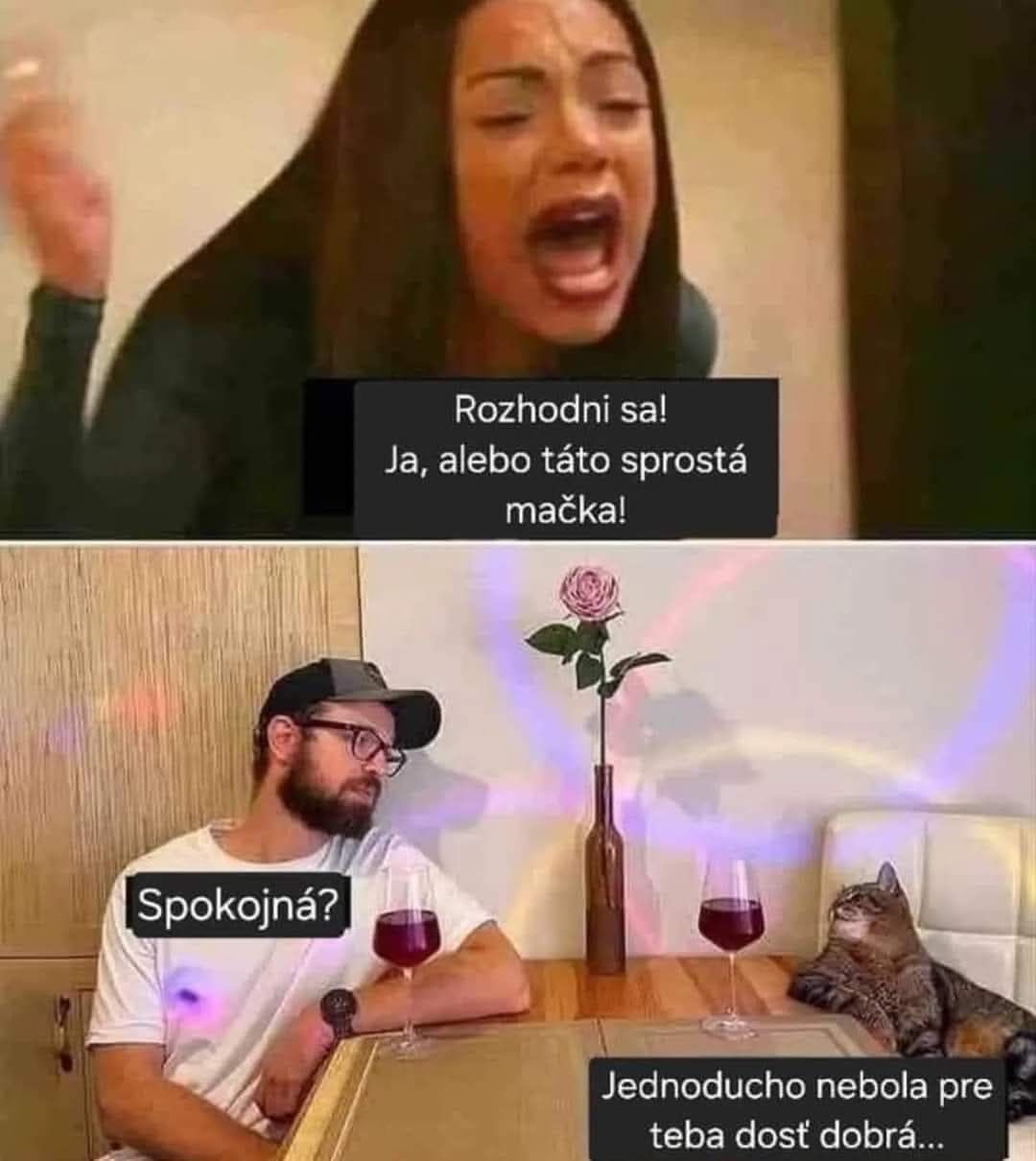 Muž s okuliarmi sedí za stolom s mačkou a dvoma pohármi vína. Nad nimi sú textové bubliny o vzťahových dilemách.