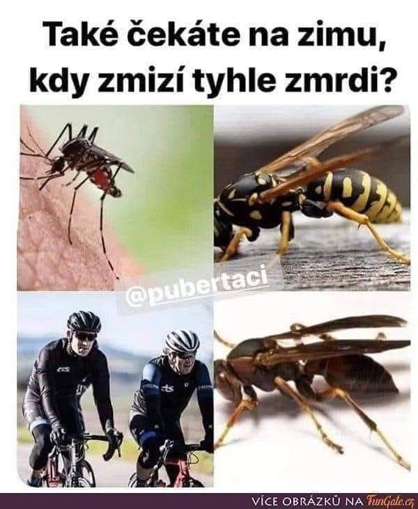 Komická koláž s komárom, osou a cyklistami, doplnená vtipným nápisom o očakávaní zimy.