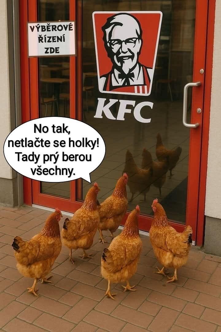 Sliepky pred vstupom do KFC, nápis: „Výberové konanie tu“. Vtipný moment s čakaním na pohovor.