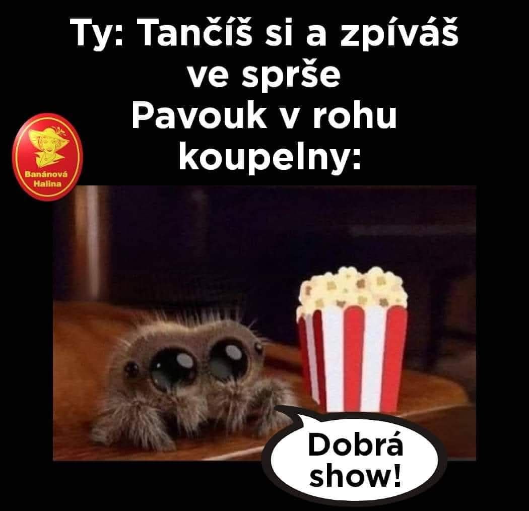 Pavúk sleduje s popcornom, ako si spievaš v sprche. Text: Ty: Tančíš si a zpíváš. Pavouk: Dobrá show!