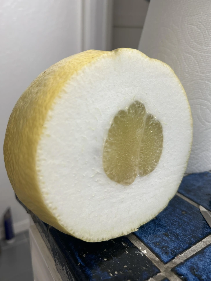 Nakrojený citrón na tmavomodrej dlaždici, zobrazený naprieč, odhaľuje šťavnatý a bledý vnútorný segment.