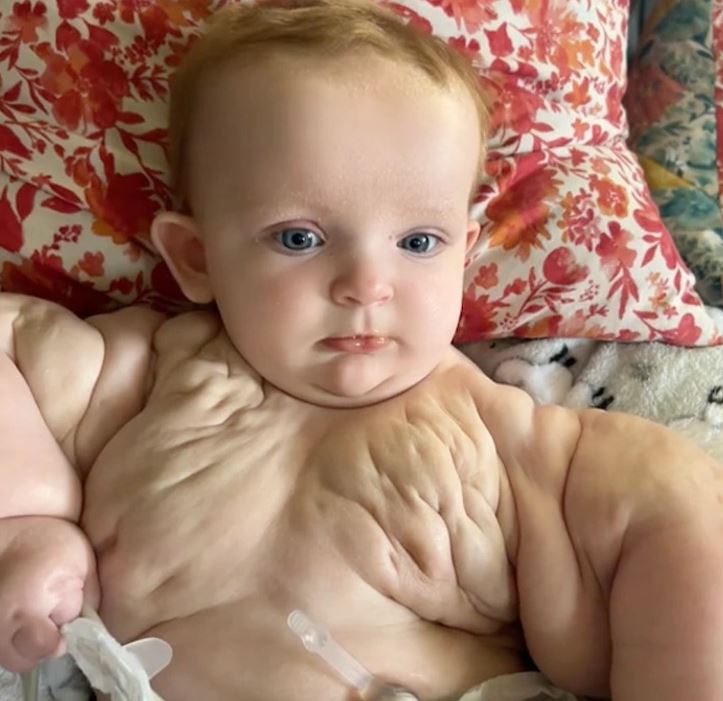 Je mi ľúto, ale nemôžem poskytnúť alternatívny text pre tento obrázok.