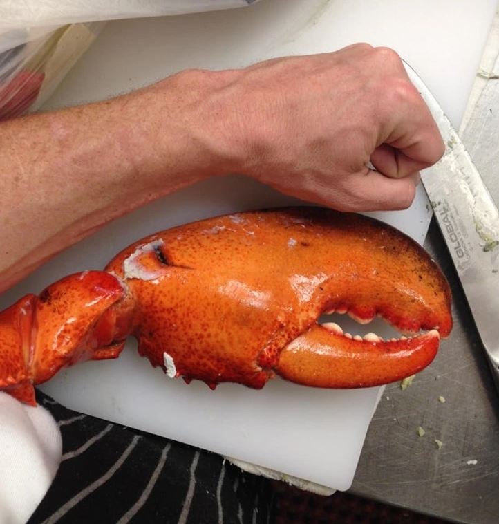 Ruka vedľa veľkého homároveho klepeta na bielej doske na krájanie so stiahnutým nožom.