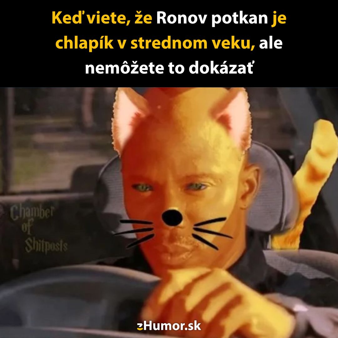 Obrázok s humornou maskou mačky na tvári muža s textom: Keď viete, že Ronov potkan je chlapík v strednom veku.