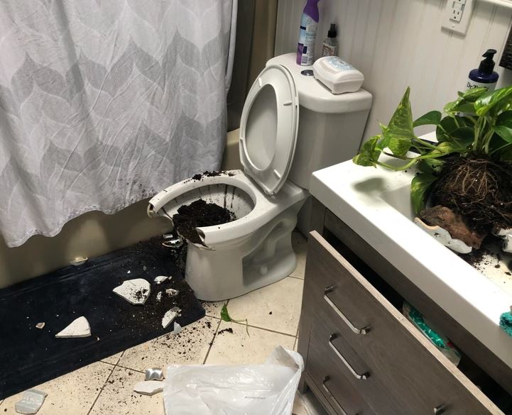 Kúpeľňa s rozbitým kvetináčem na zemi a pôdou vo WC mise, neporiadok po prevrhnutí rastliny.