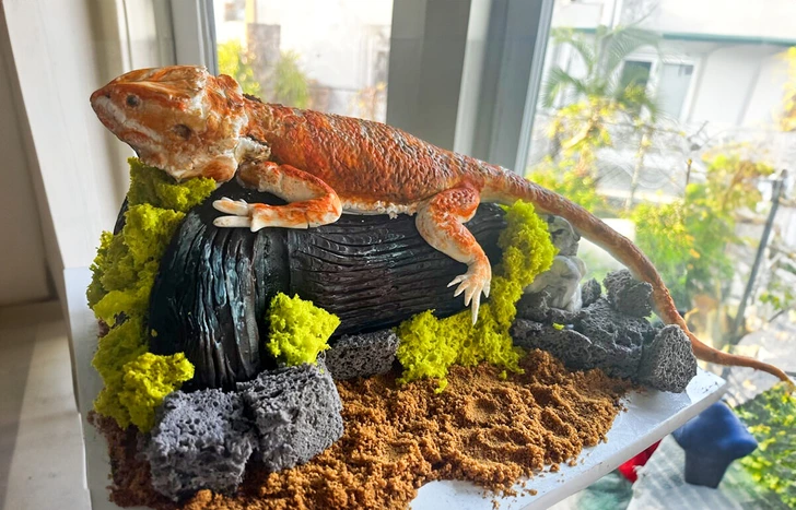 Jašterica leží na kmeni medzi zelenými rastlinami v teráriu pri okne.