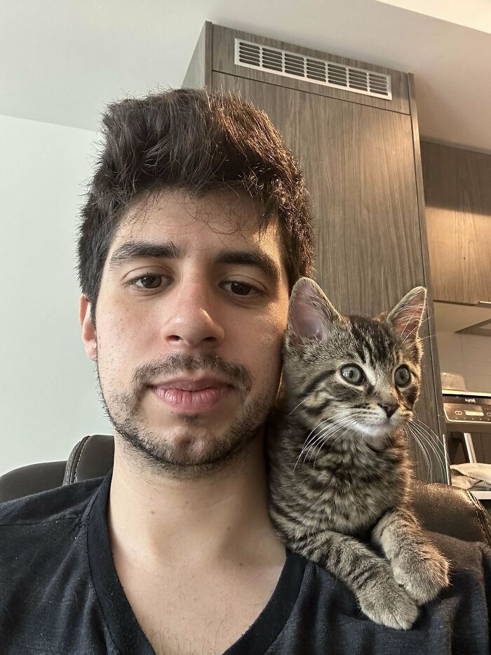 Muž s mačiatkom na ramene sedí v interiéri. Obaja pozerajú smerom von z obrázka.