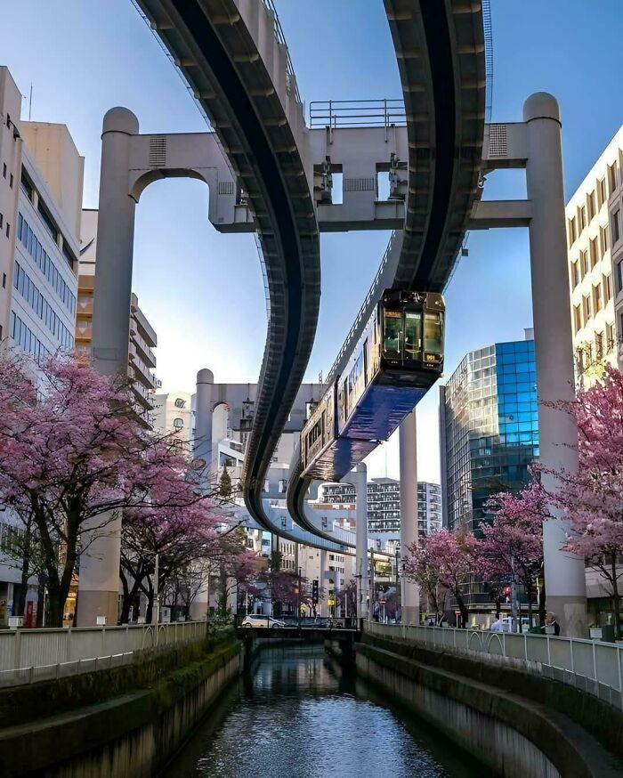 Visutá monorail dráha nad mestskou ulicou s rozkvitnutými sakurami a modernými budovami pod modrou oblohou.