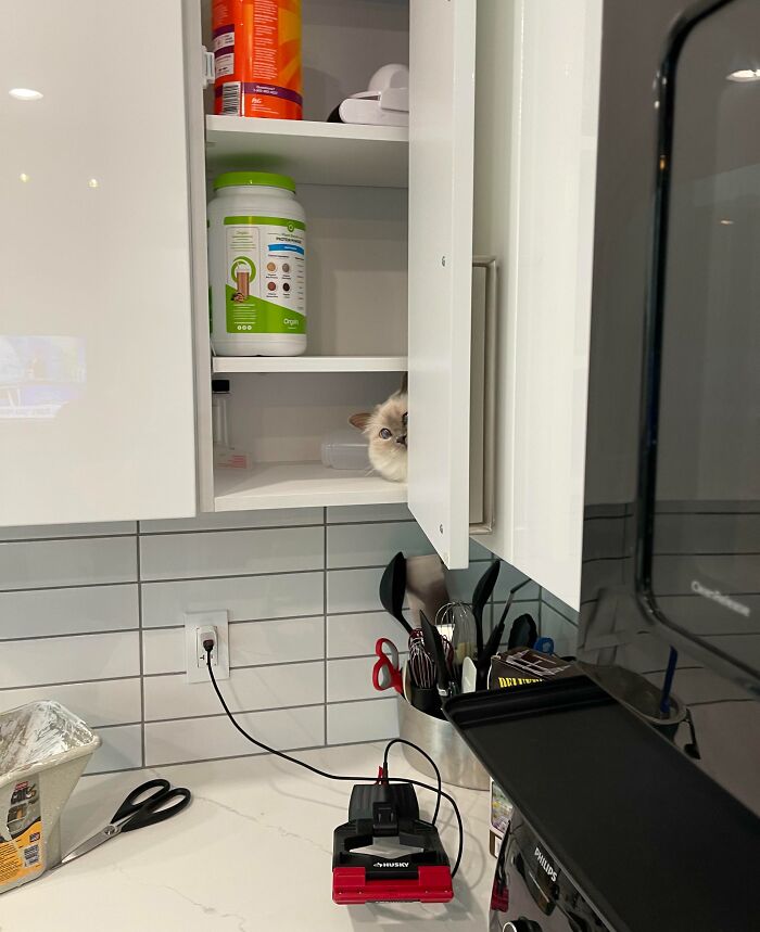 Mačka schovaná v kuchynskej skrinke vedľa dózy, pohľad spoza dvierok na pracovnú dosku s nožnicami a nabíjačkou.