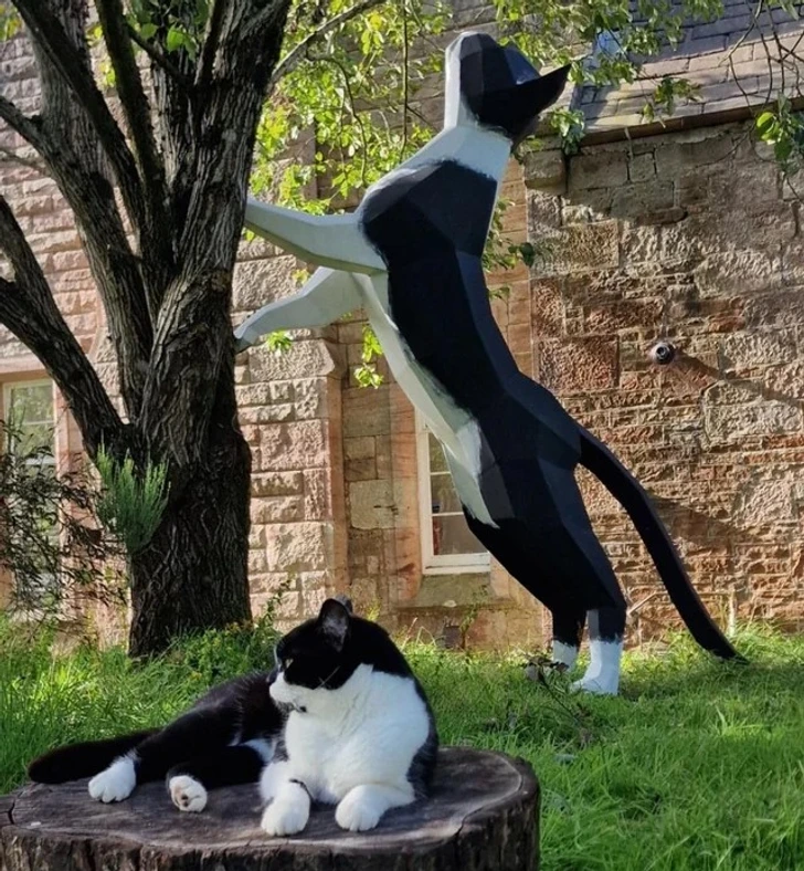 Mačka leží na pni pri soche vo farbách čiernej a bielej, dom v pozadí, slnečný deň.