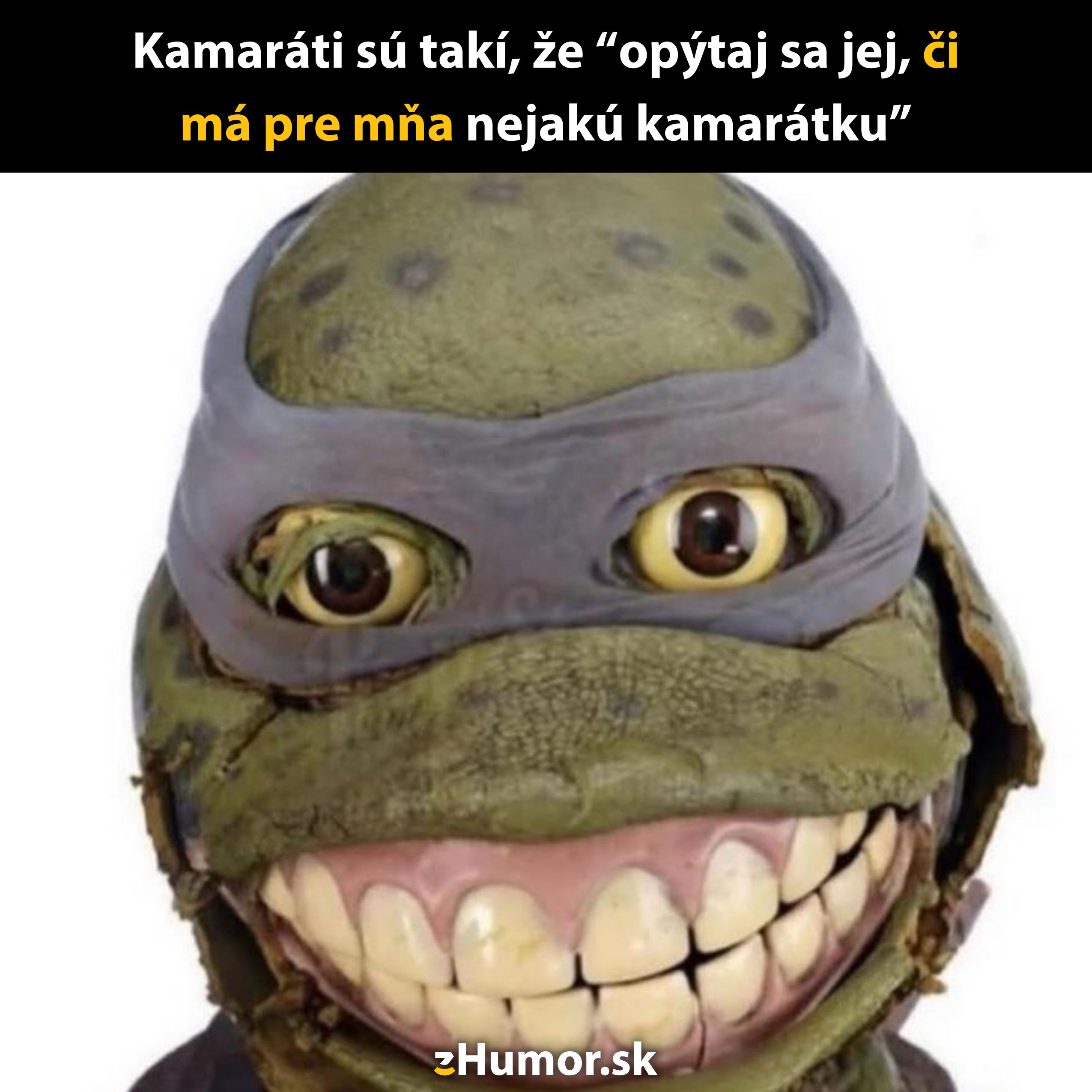 Vtipný obrázok karety so širokým úsmevom a textom o priateľoch a ich otázkach na lásku.