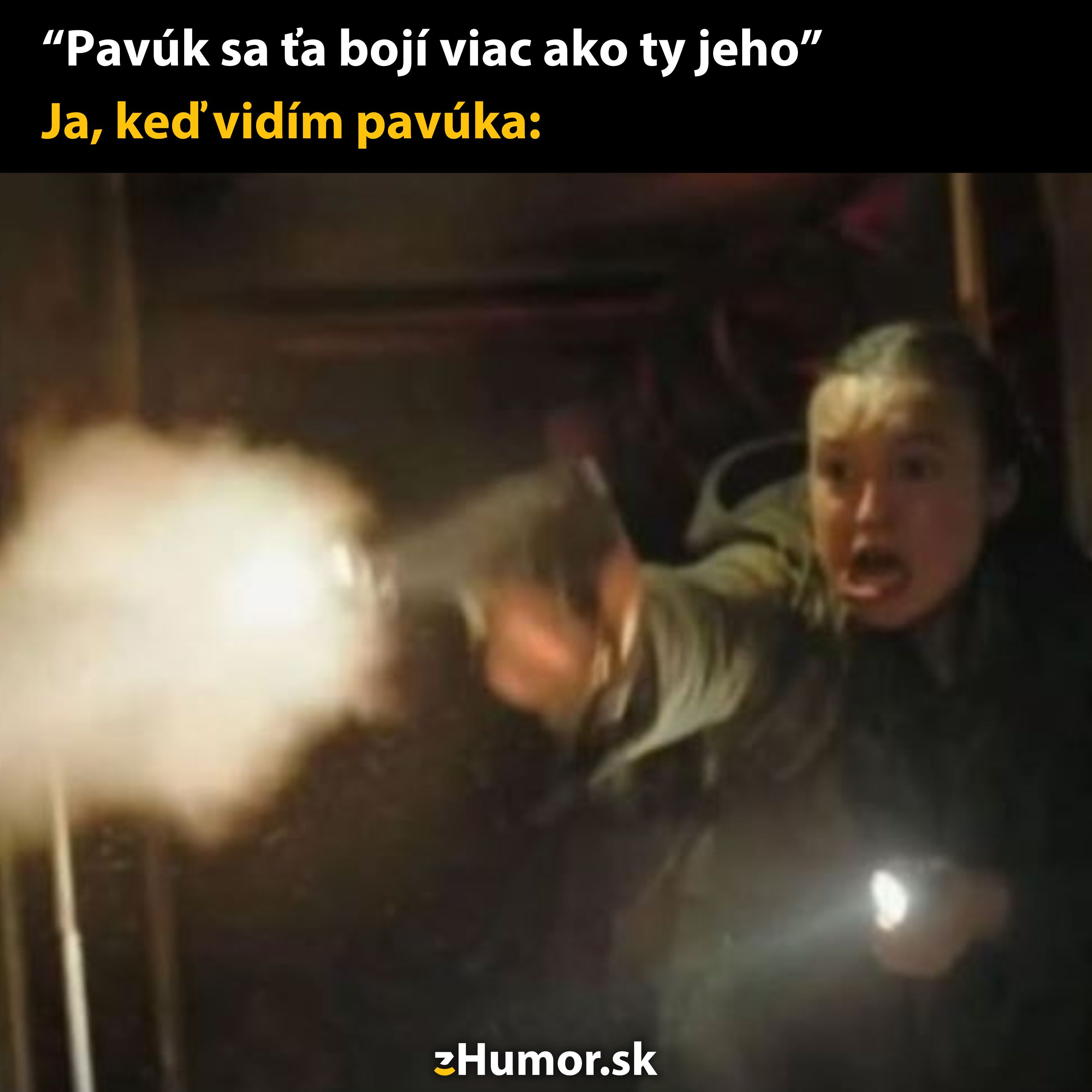 Osoba s baterkou vystrašene mieri zbraňou na pavúka v tmavej miestnosti.