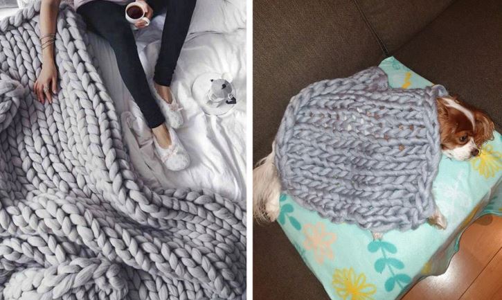 Osoba a pes zakrytí teplou sivou pletenou dekou, relaxujúci na gauči a posteli.