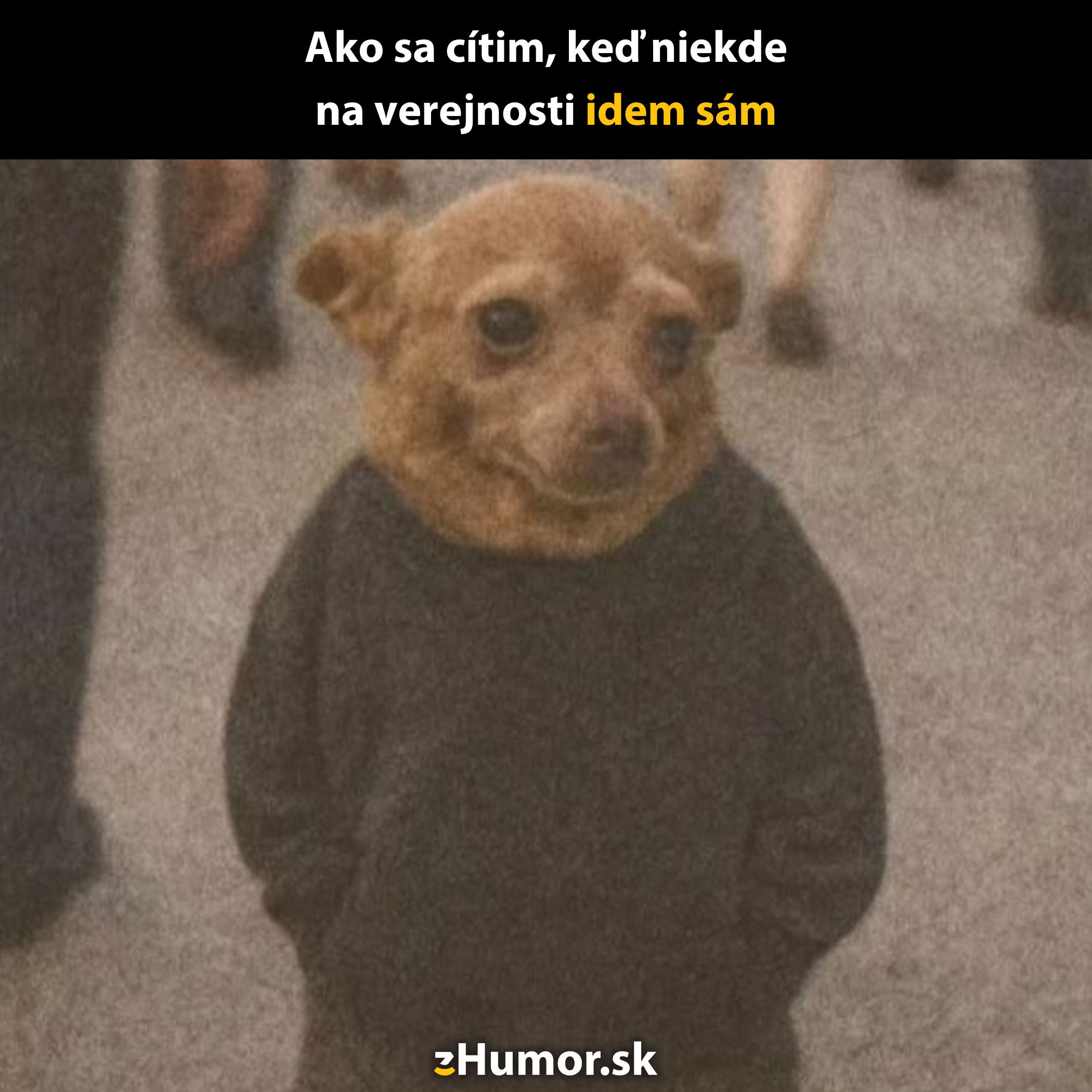 Pes v sivom tričku pôsobí nesmelo, akoby sa cítil nesvoj na verejnosti. Humorná scéna na ulici.