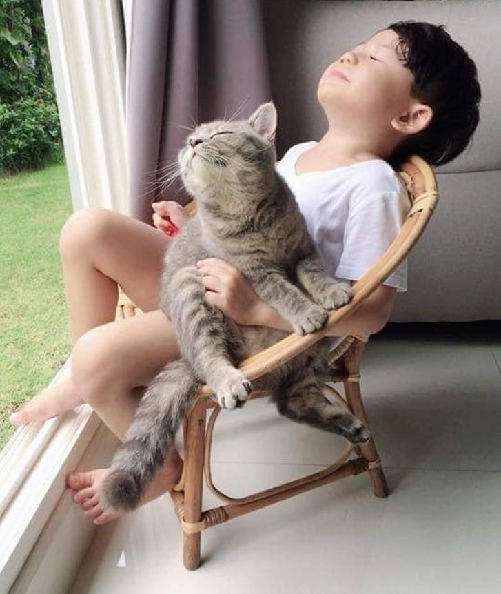 Dieťa so zavretými očami sedí na stoličke s mačkou na kolenách, obaja pôsobia spokojne pri pohľade von oknom.