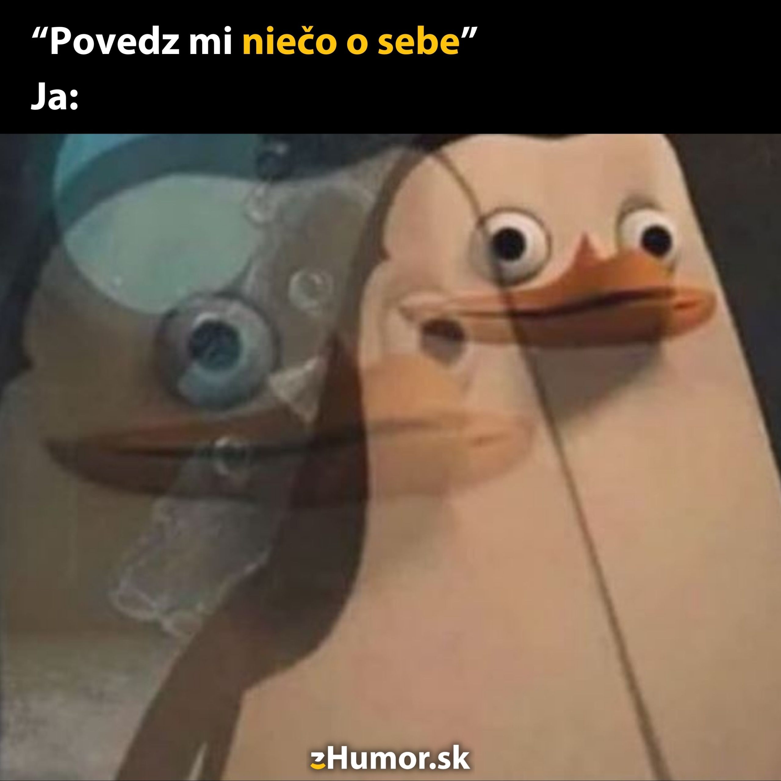 Tučniak s nervóznym výrazom čelí otázke: Povedz mi niečo o sebe.