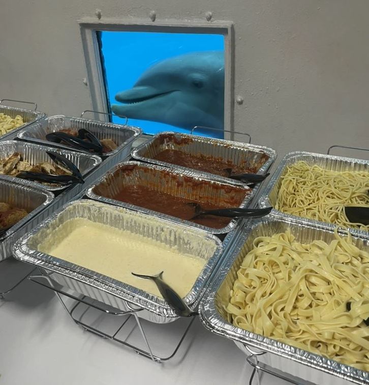 Delfín nakúka cez okno na švédske stoly s cestovinami a omáčkami v nerezových miskách.