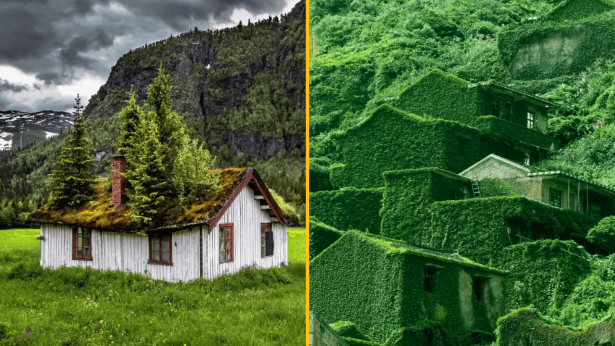 Dom s machovou strechou v prírode a domy zarastené brečtanom, vytvárajúce harmonický súlad s okolitým prostredím.