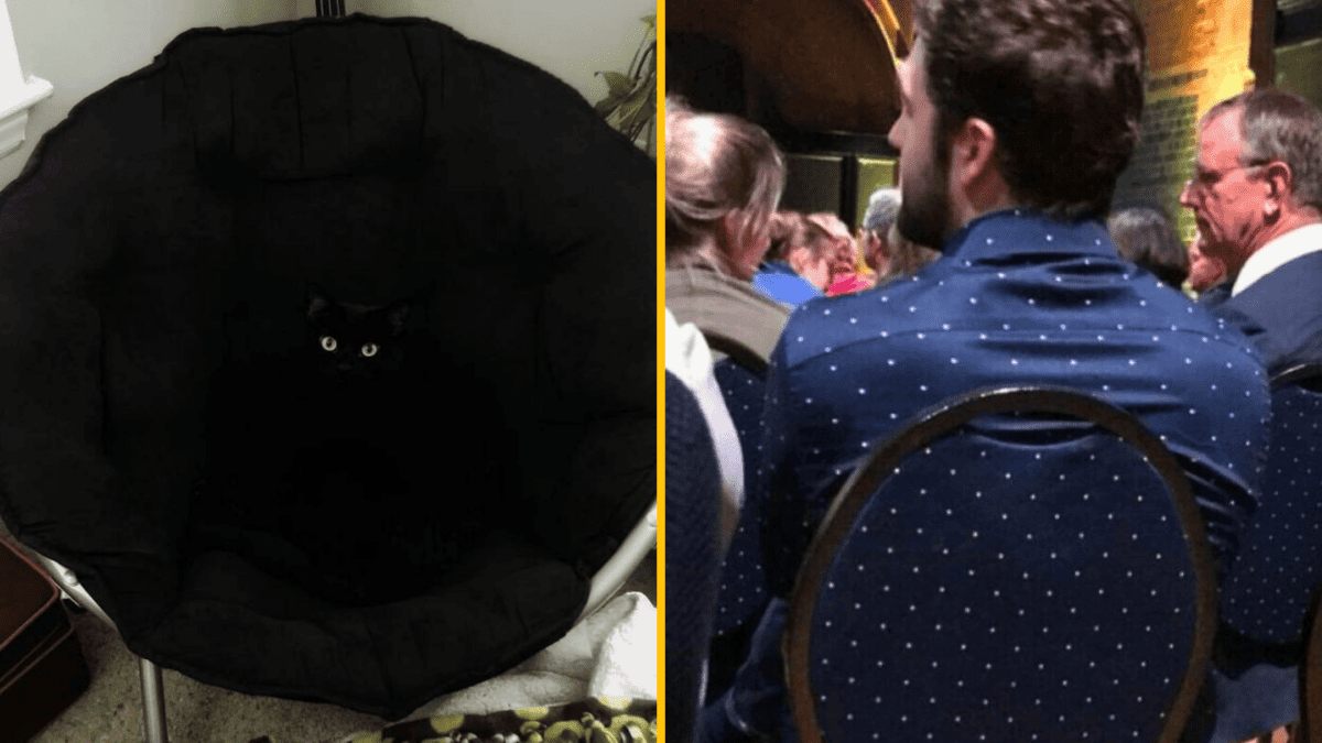 Čierna mačka skrytá v tmavej stoličke, muž v bodkovanom tričku splýva so sedadlom. Optická ilúzia.