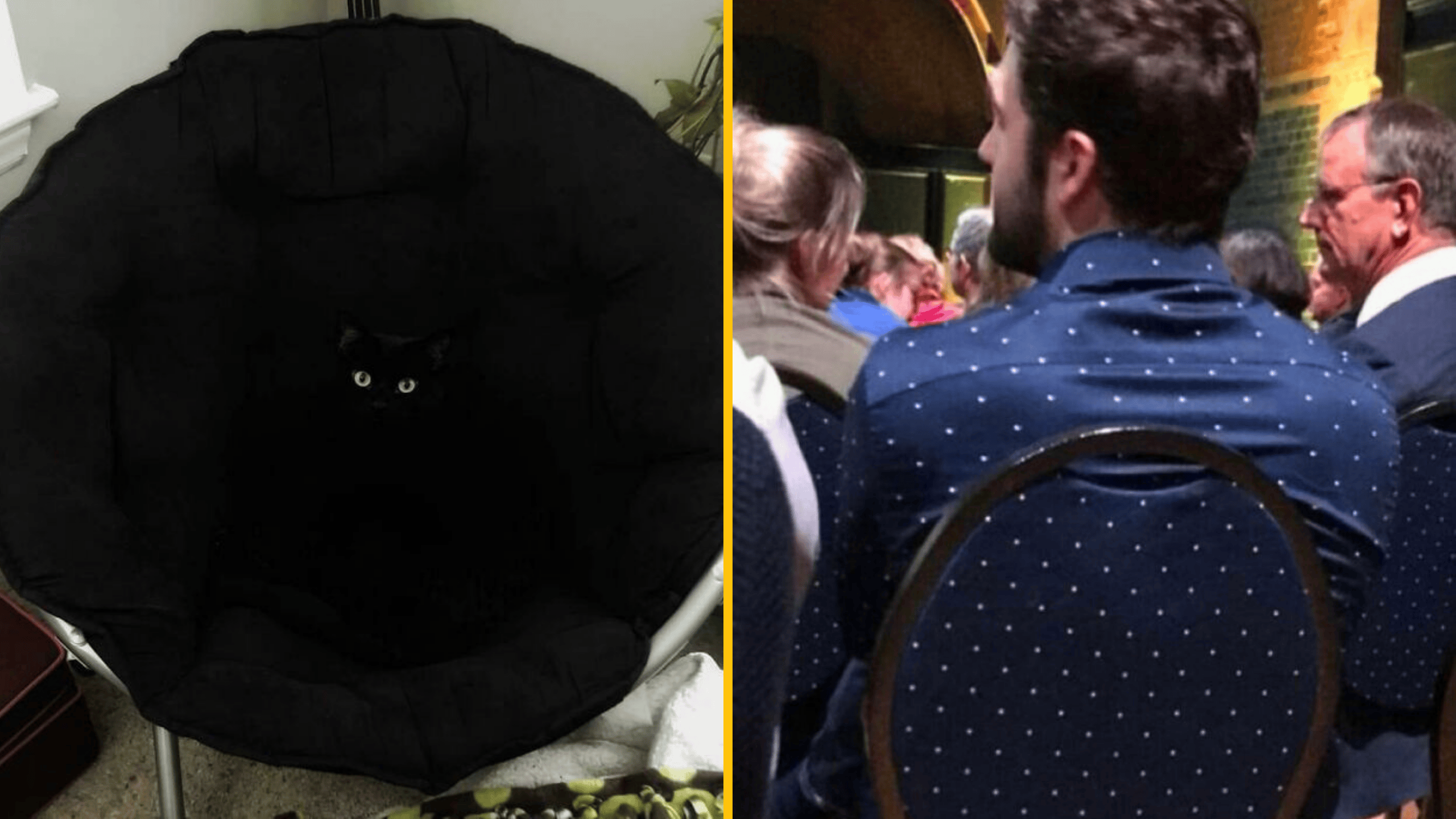 Čierna mačka skrytá v tmavej stoličke, muž v bodkovanom tričku splýva so sedadlom. Optická ilúzia.