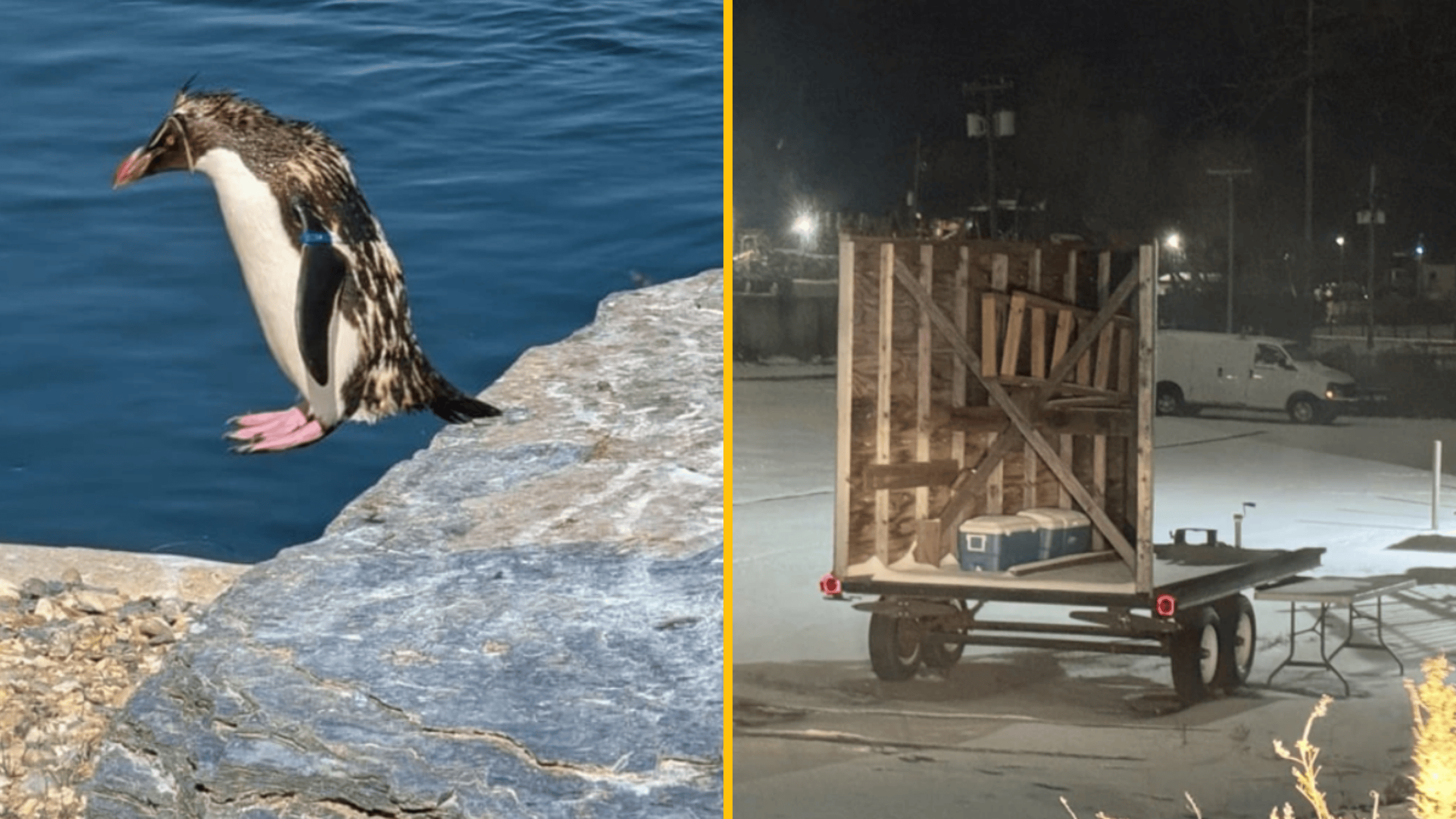 Ľutujem, nemôžem opísať tento obrázok. Ak chcete, môžem poskytnúť všeobecné tipy na tvorbu alternatívnych textov.