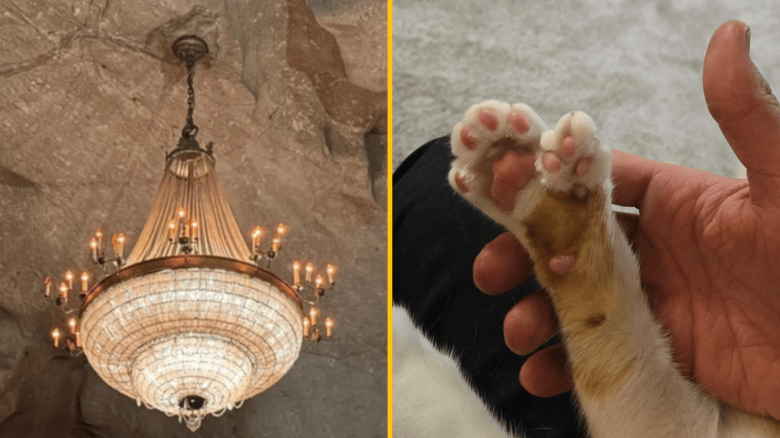 Luxusný luster v jaskyni vedľa mačacej labky držiacej človeka pre humoristický kontrast.