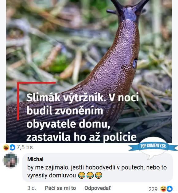 Slimák vyrušil obyvateľov domu nočným zvonením, zastavila ho až polícia.