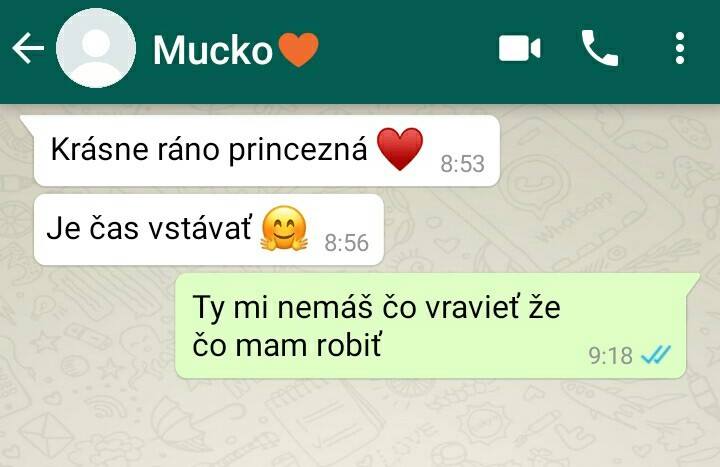 WhatsApp rozhovor: Dobré ráno želanie s emoji a odpoveď s nesúhlasom.
