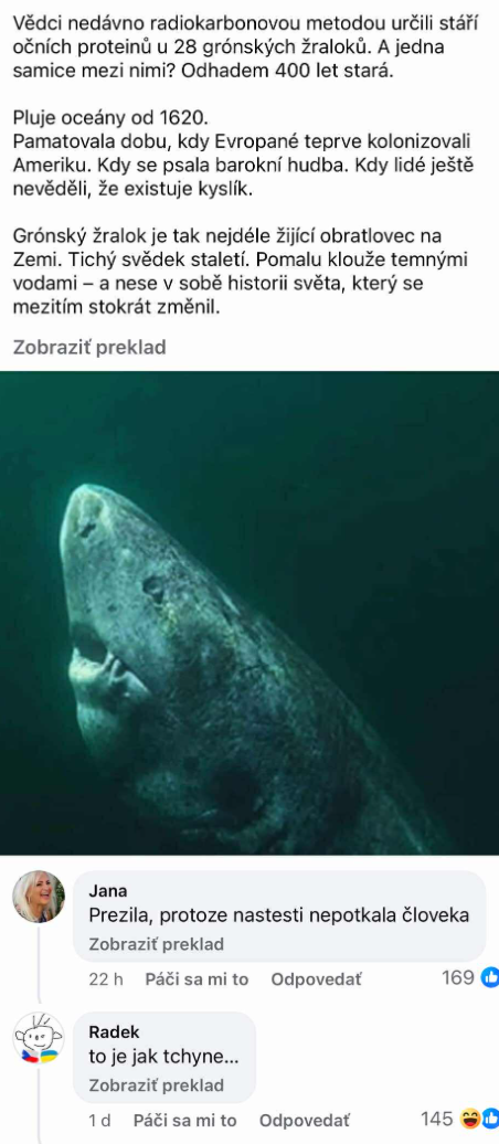 Grónsky žralok, najdlhšie žijúci obratlovec, pomaly kĺže tmavými vodami oceánu.