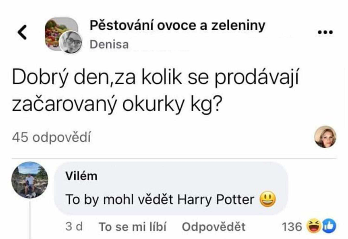 Vtipná otázka o cene začarovaných uhoriek s odpoveďou spomínajúcou Harryho Pottera.