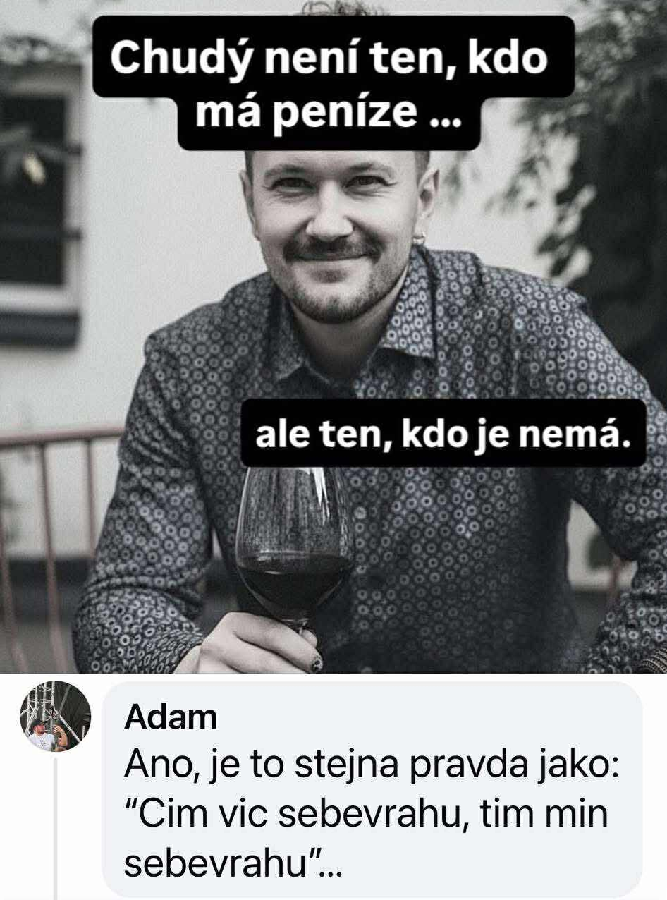 Osoba s pohárom vína a citátom o hodnote peňazí nad hlavou, doplnené humoristickým komentárom.