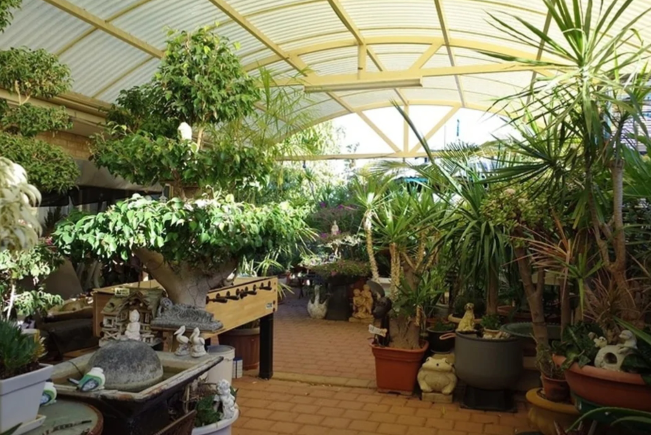 Záhrada s množstvom rastlín pod krytou pergolou, dekorácie a stolný futbal na dlaždenej ploche.