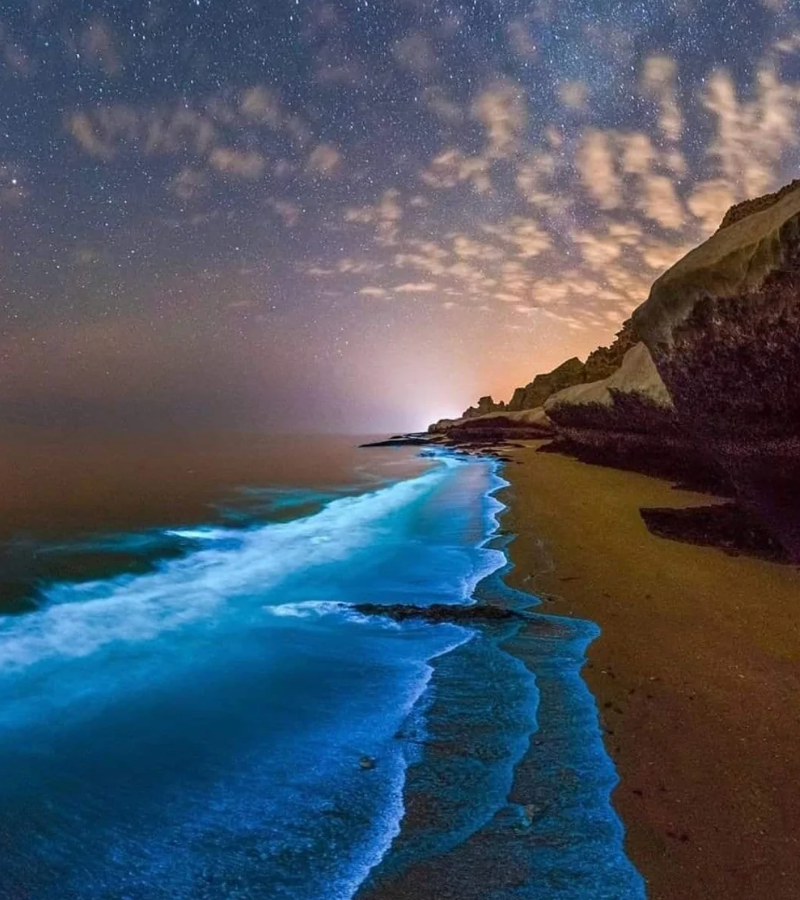 Nočná pláž s bioluminiscenčnými vlnami, osvetlená hviezdami a jemným svetlom na obzore.