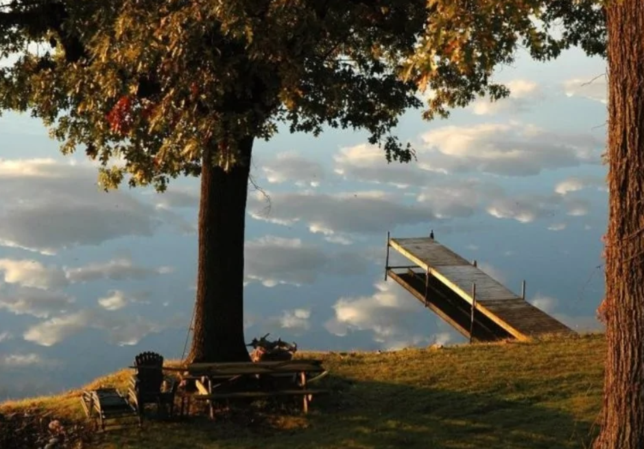 Drevené mólo na pokojnom jazere pri strome, odrážajúcom oblaky. Pokojná prírodná scenéria vhodná na relax.