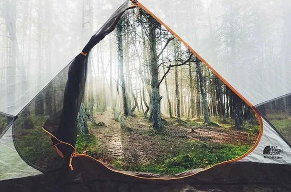 Pohľad z vnútra stanu na slnečný lesný porast, ideálne miesto na kempovanie v prírode.