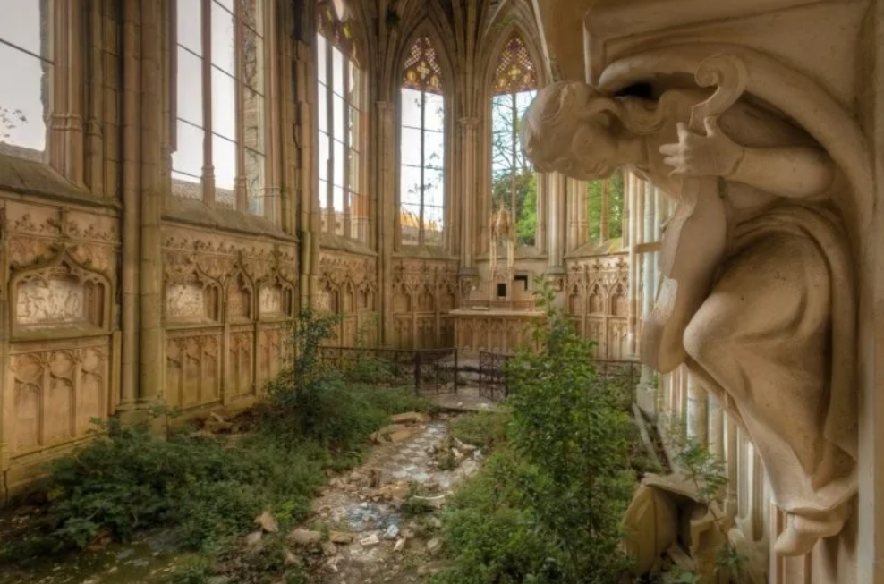 Opustená katedrála s bohato zdobeným interiérom, sochárskymi detailmi a rastlinami v interiéri.