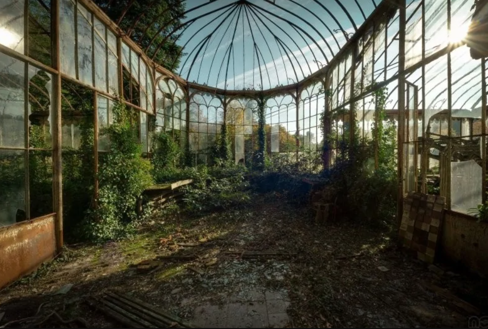 Opustený skleník s rozbitým sklom a bujnou vegetáciou, svetlo prenikajúce cez strešné oblúky.