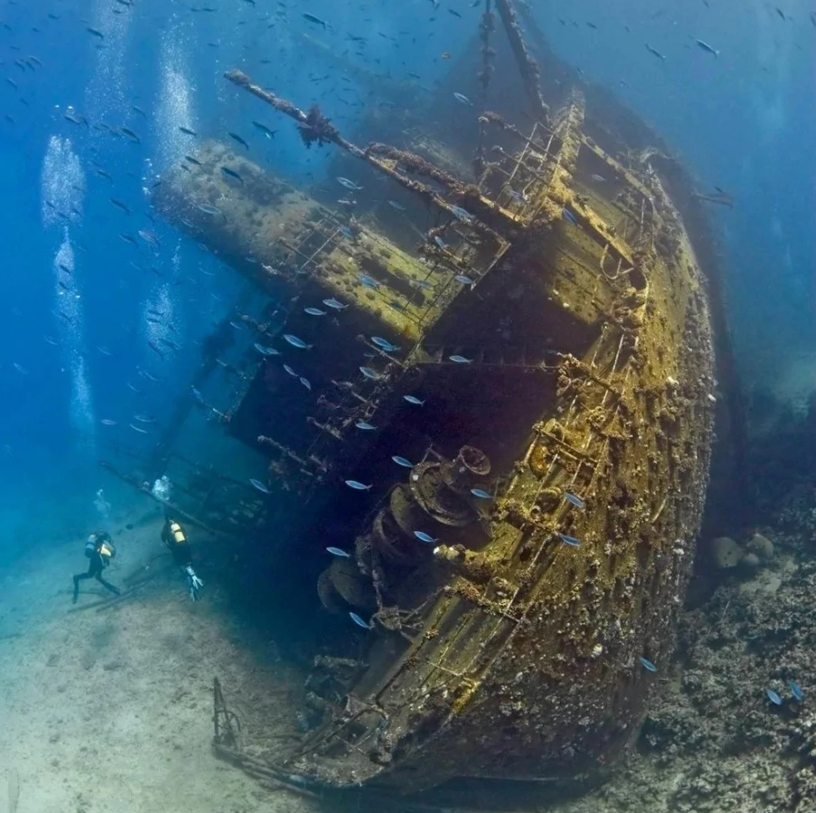 Vrak lode v hĺbke mora obklopený rybami, dvaja potápači skúmajú podvodný svet.