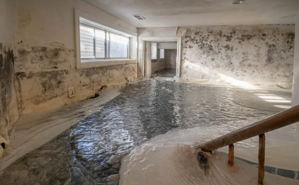 Zatopený suterén s plesnivými stenami a zamrznutou vodou, ukazujúci následky zanedbanej údržby budovy.