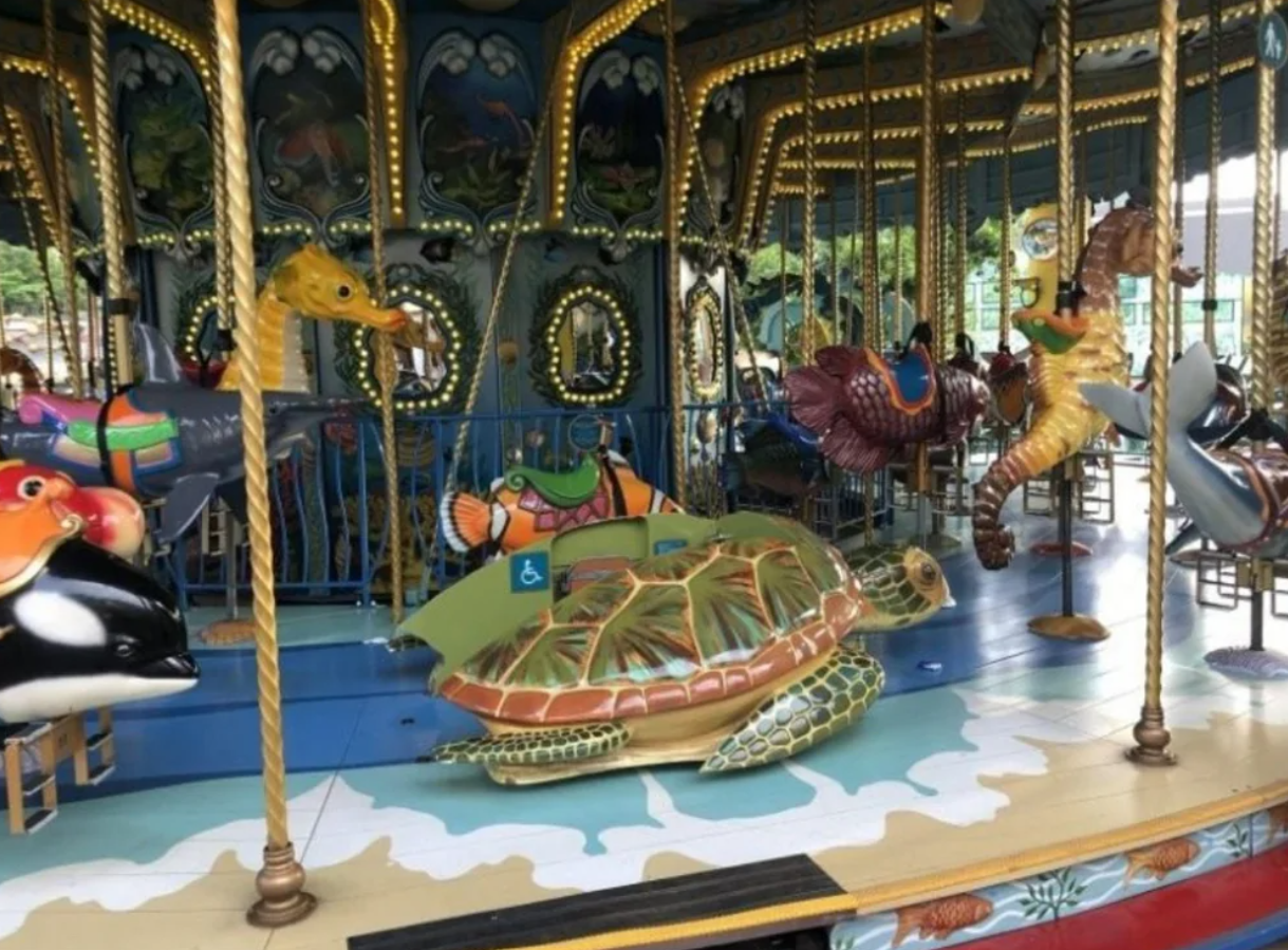 Kolotoč s morskými zvieratami, vrátane želvy pre imobilných návštevníkov, osvetlený žiarovkami.