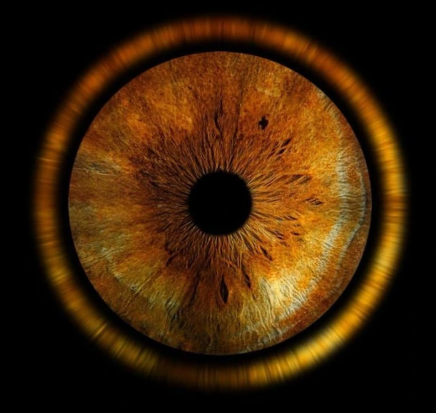Detailný záber na očnú dúhovku v odtieňoch hnedej s výraznou štruktúrou vlásočníc.