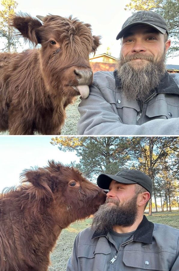 Muž a teliatko v priateľskom objatí na farme, obidvaja majú radosť z pekného dňa vonku.