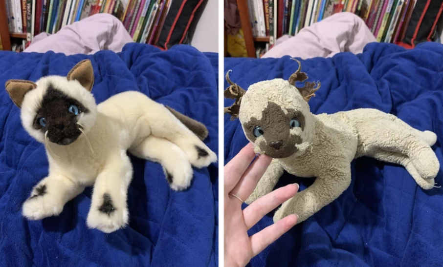 Stará a nová plyšová mačka na modrej deke, zachytené vedľa seba.