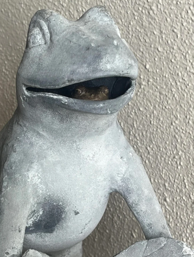 Kamenná socha žaby s ukrytou malou žabou v ústach, umiestnená pred textúrovanou stenou.