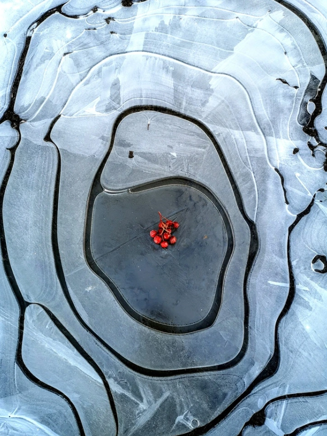 Červené bobule na zamrznutej vodnej hladine s vrstvami ľadu vytvárajú fascinujúci prírodný obrazec.