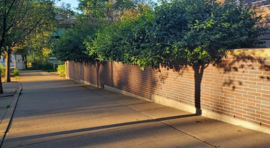 Tehlový múr so zeleňou vrhajúcou tieň na chodník, pokojná ulička za slnečného popoludnia.