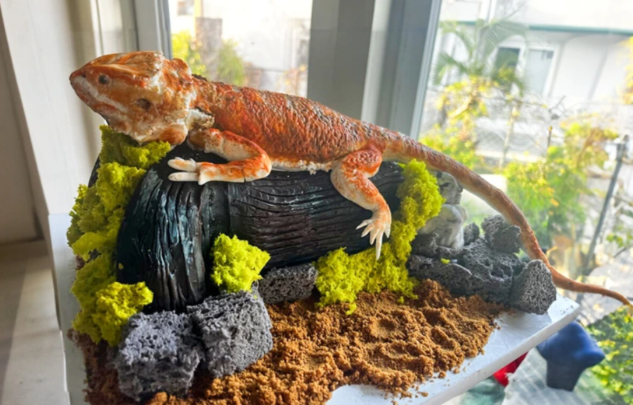 Leguán v teráriu leží na konári medzi umelým lístím a kameňmi pri slnečnom okne.